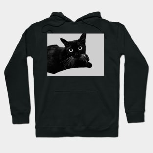 Black Cat Staring With Big Eyes Hoodie